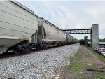 BNGX 32032